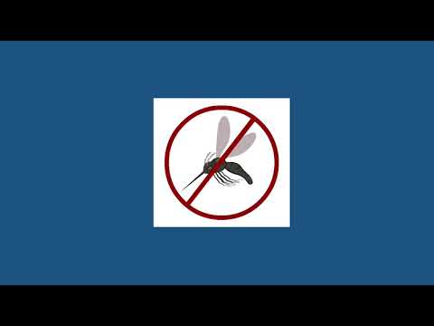 Malaria Symptoms Unveiled: Stay Informed, Stay Safe