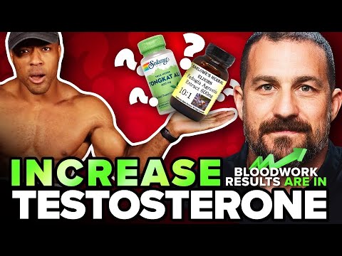 Boost Your Energy with Cutting-Edge Testosterone Vitamins