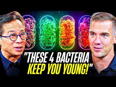 Top Prebiotics and Probiotics for a Healthy Gut Revolution