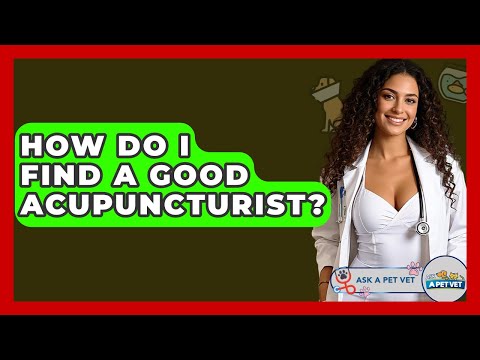 Find Trusted Canine Acupuncture Near You Today