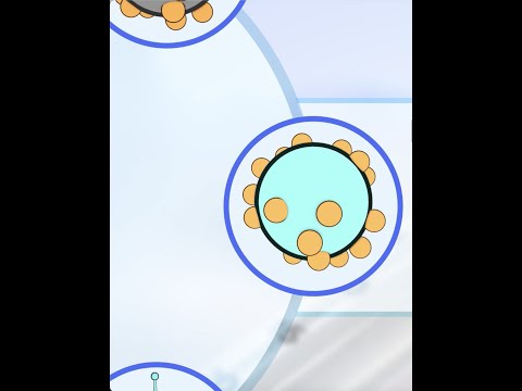 Empowering Immunity with Live Attenuated Vaccines
