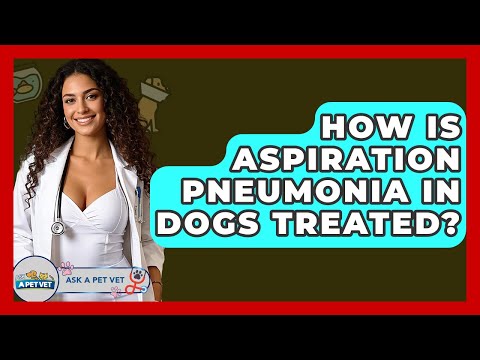 Innovative Solutions for Aspiration Pneumonia in Dogs