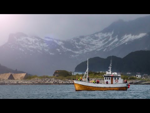 Revitalize Your Health with Carlson Fish Oil Innovation