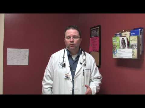Spotting Pneumonia Symptoms in Dogs for Tech-Savvy Pet Owners
