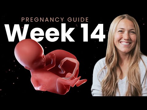 14 Weeks Pregnant Belly: Your Tech-Savvy Pregnancy Journey