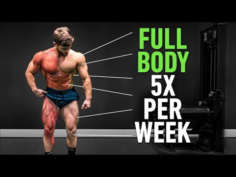 Top Men’s Workout Programs for Peak Performance and Gains