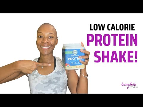 Fuel Your Fitness with Sun Warrior Protein Power