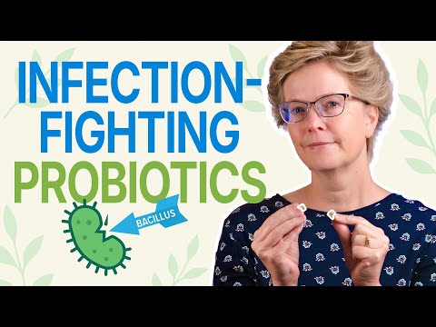 Boost Your Health with Bacillus Subtilis Probiotics Today