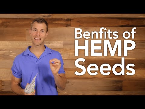 Unlocking Nutrition: The Power of Hemp Protein Powder