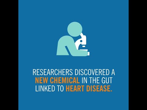 Heart Disease Uncovered: A Dive into Diverse Conditions