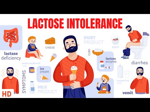 Lactose Free Dry Milk: Revolutionizing Dairy for All