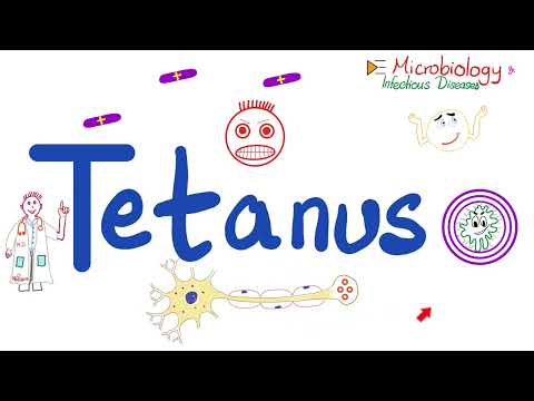 Clostridium Tetani: Innovating Prevention and Treatment Solutions