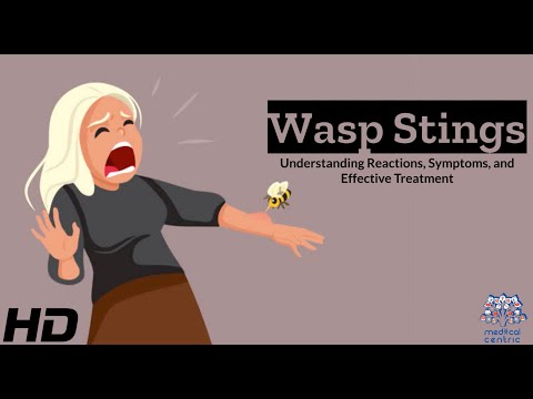 Wasp Sting Infection Solutions for a Tech-Driven Life