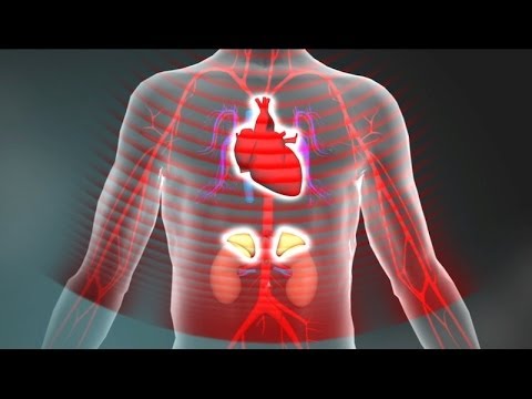 Combatting Toxic Stress for a Healthier Life