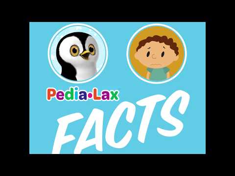 Relief for Kids: Pedia Lax Suppository Solution Relief for Kids: Pedia Lax Suppository Solution