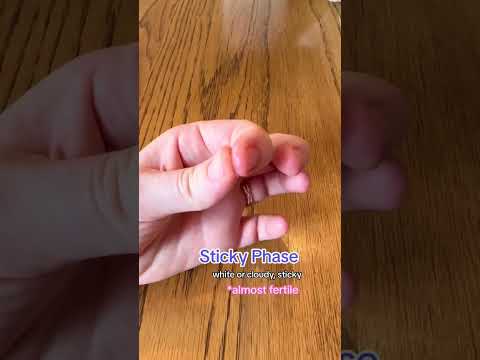 Unlocking Early Pregnancy Insights Through Cervical Mucus Trends