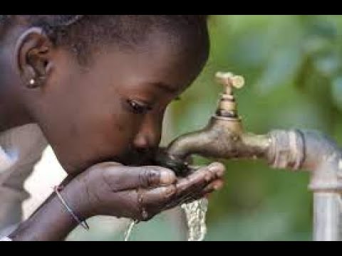 Cholera Disease Uncovered: Definition and Insights for All