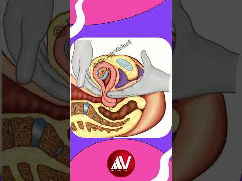 Unlocking Innovation with the Hegar Sign in Tech Marketing